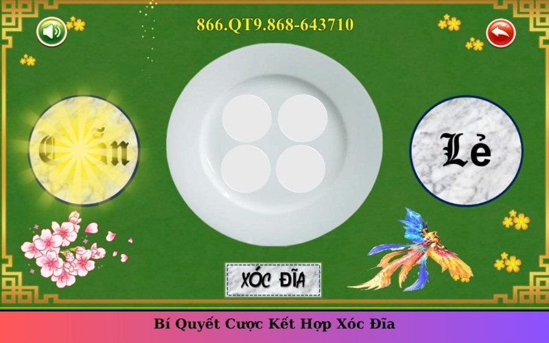 Bí Quyết Cược Kết Hợp Xóc Đĩa