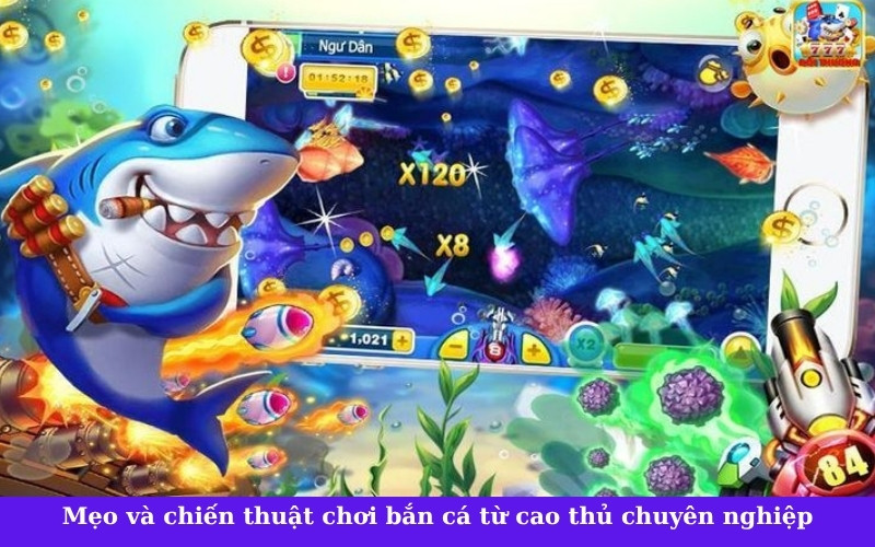 Mẹo và chiến thuật chơi bắn cá từ cao thủ chuyên nghiệp