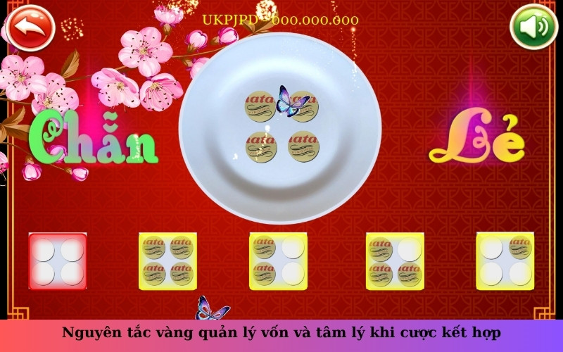 Nguyên tắc vàng quản lý vốn và tâm lý khi cược kết hợp