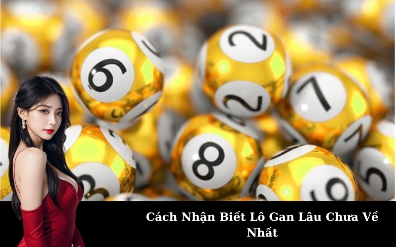 Cách Nhận Biết Lô Gan Lâu Chưa Về Nhất