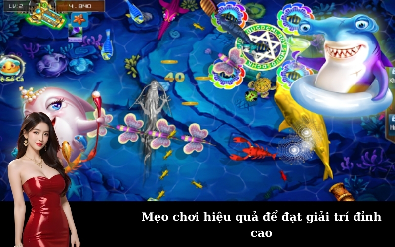 Mẹo chơi hiệu quả để đạt giải trí đỉnh cao